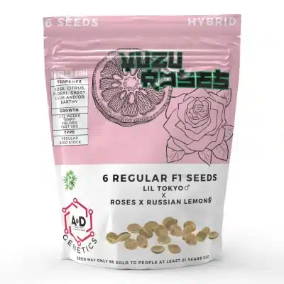 Yuzu Seeds