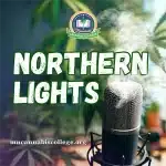 Northern Lights Podcast